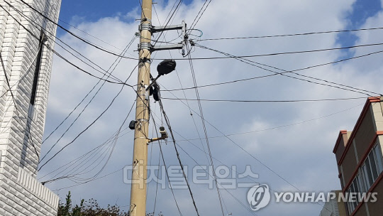 지난해 11월 한국전력 하청업체 소속 근로자가 전봇대에 올라가 작업 중 감전돼 사망한 사건에 대해 고용노동부가 한국전력 지사장과 하청업체 현장소장을 산업안전보건법 위반 협의로 입건해 수사 중인 것으로 알려졌다.  <연합뉴스>